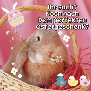 Ostern kommt schneller, als man denkt. Personalisierte Geschenke für eure liebsten.
#oster #handmade #osterhasen #laser #keracraft